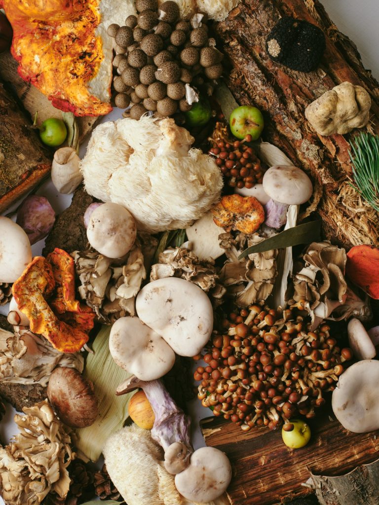 Mushrooms and autumn ingredients for the Forest Menu at Mauro Colagreco, Raffles London.